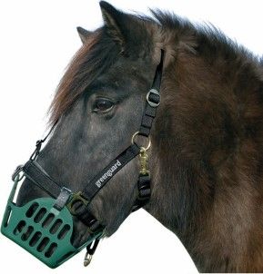 Greenguard 2024 grazing muzzles