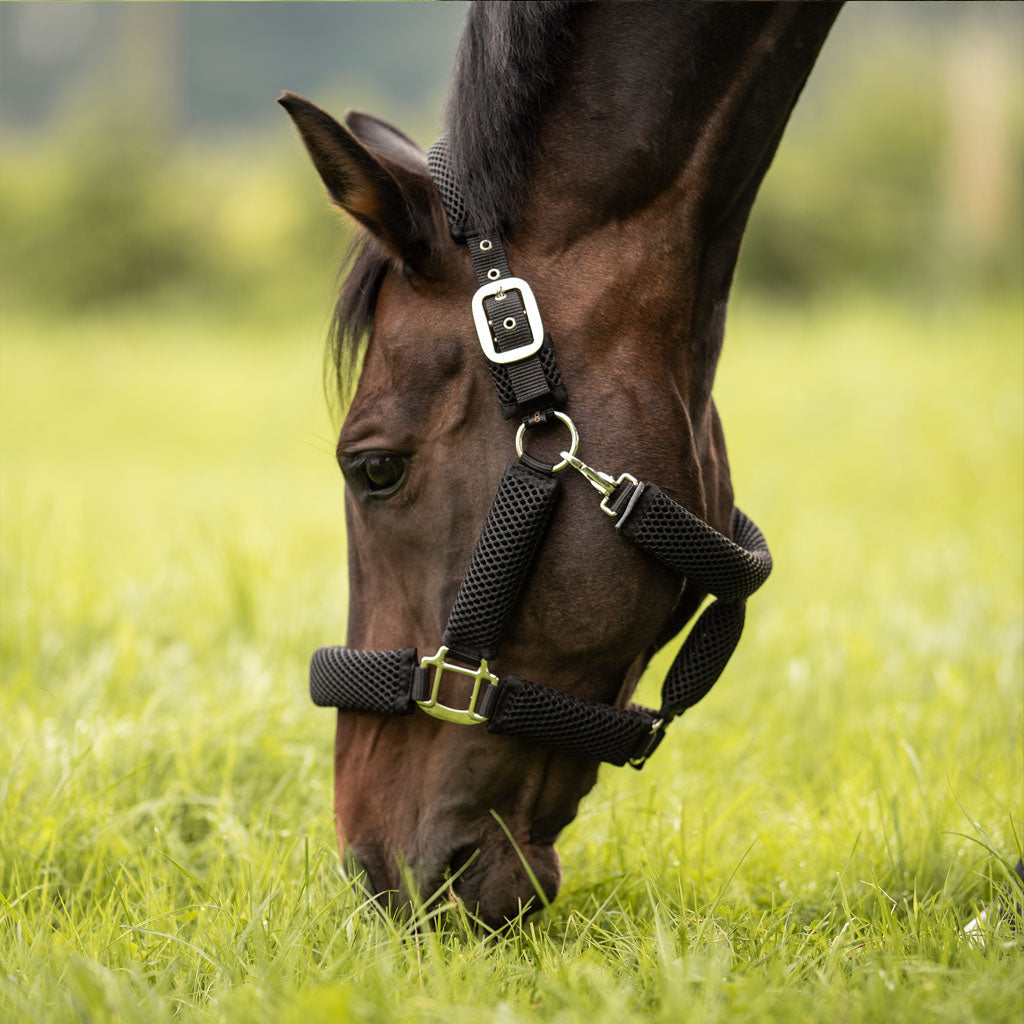 Special halter 3D AIR EFFECT PLUS for horses