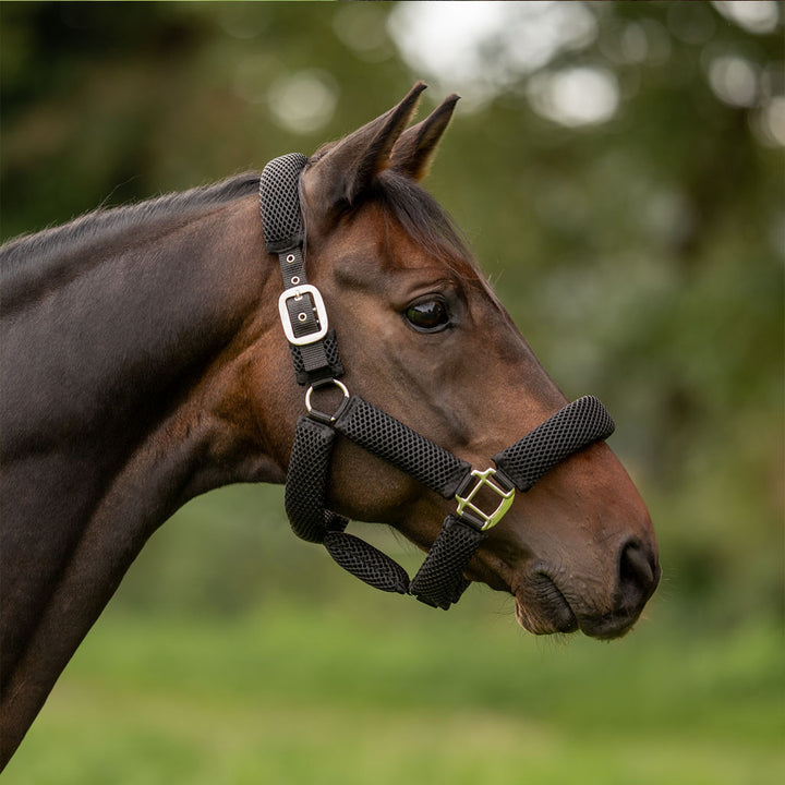 Special halter 3D AIR EFFECT PLUS for horses