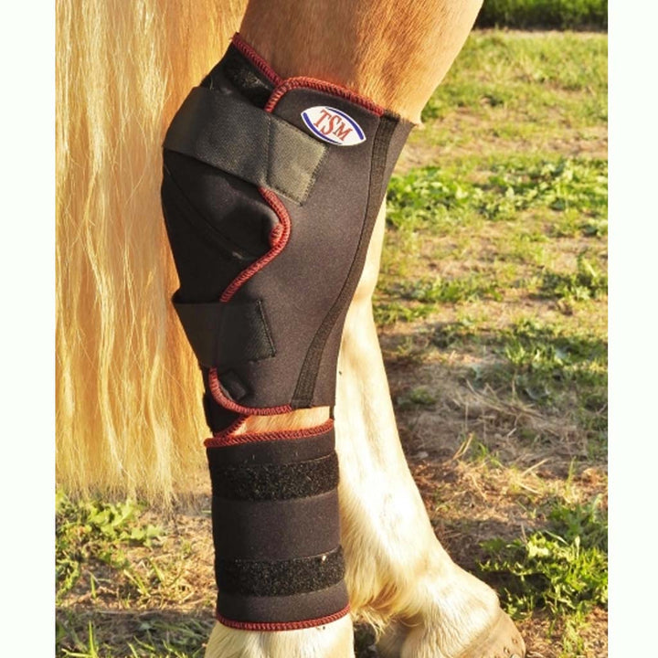 TSM Horse Padded Bandage for Hock (single)