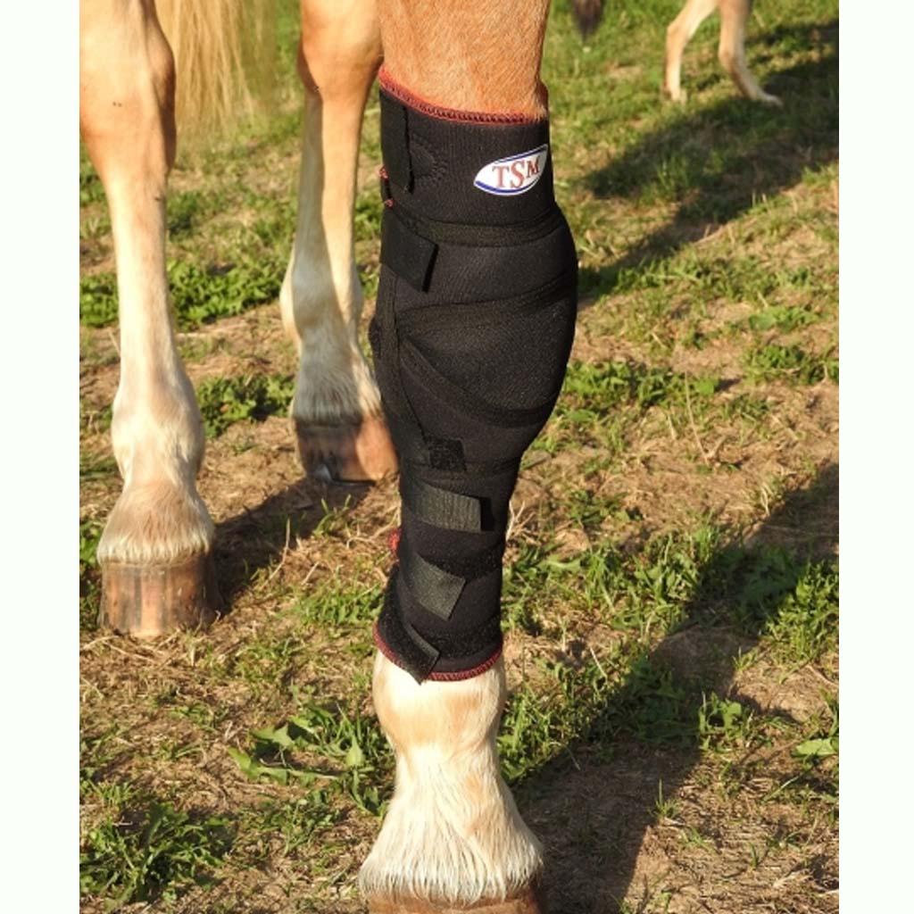 TSM Padded Bandage for Carpus/Knee Joint (single)