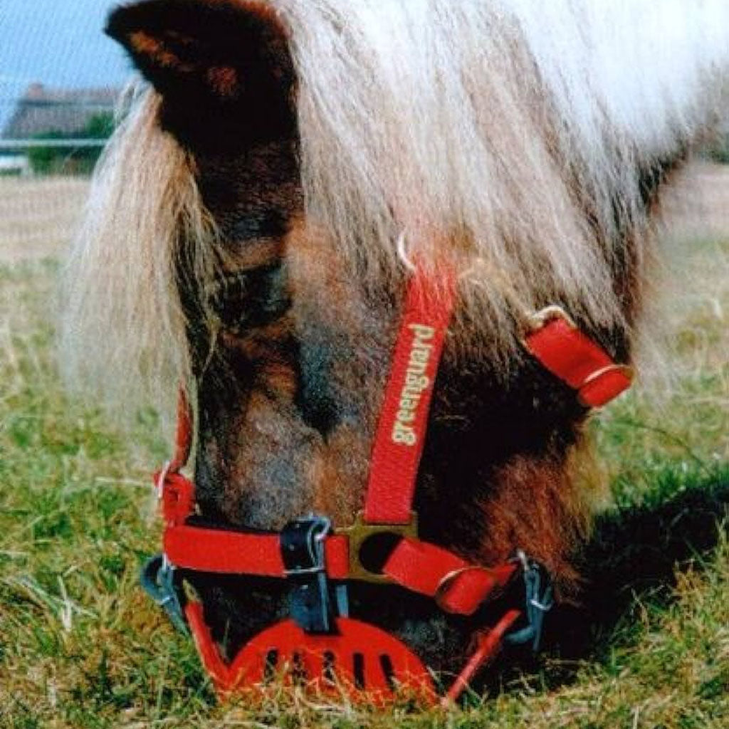 Greenguard pasture muzzle small for small ponies innoHorse